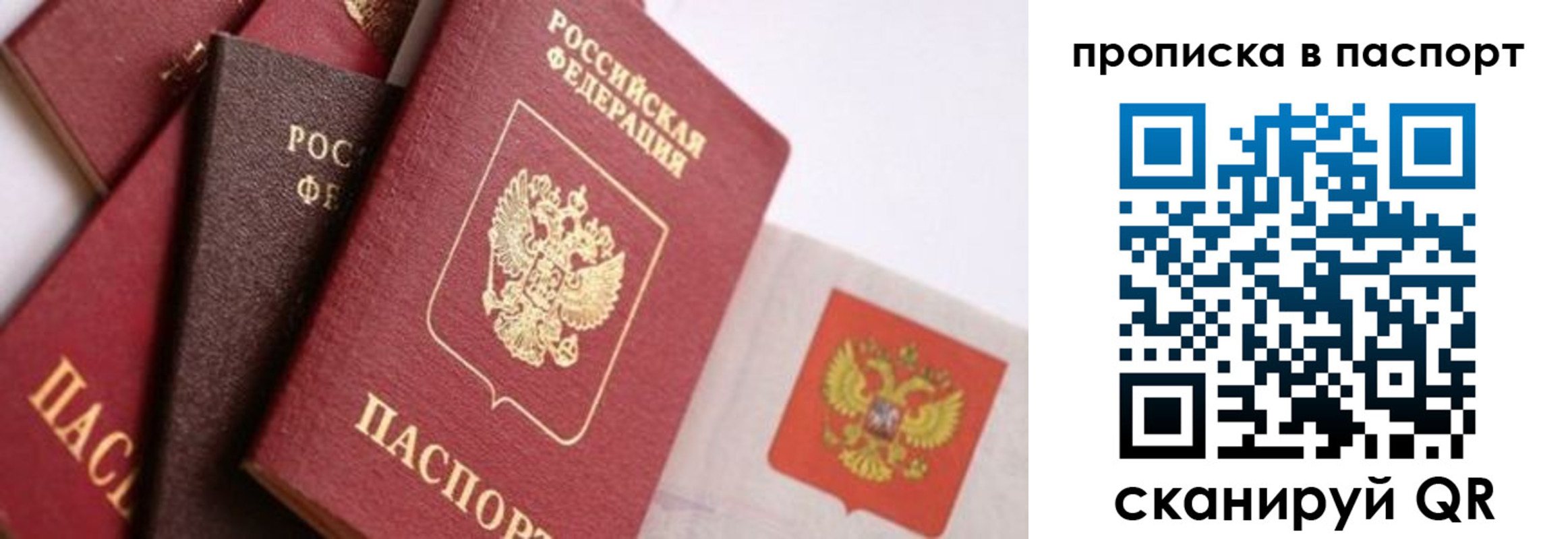 регистрация для школы в Великом Новгороде
